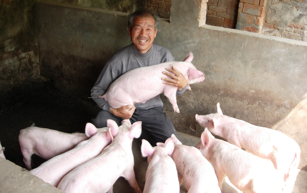 艾滋病生产自救项目